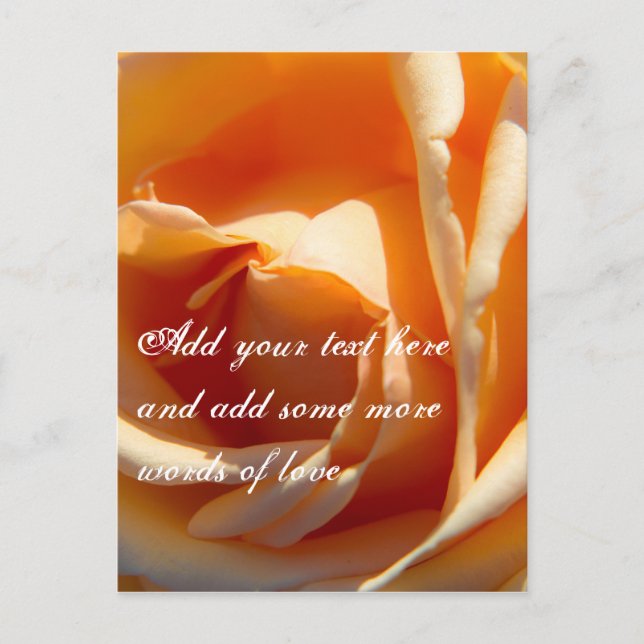 Yellow rose flower postcard (Front)