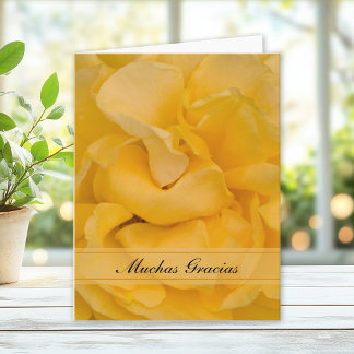 Yellow Rose Flower Spanish Thank You Gracias