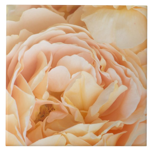Yellow rose flower tile (Front)