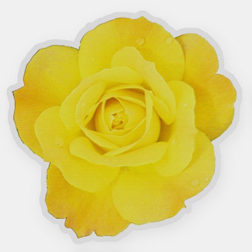 Yellow Rose Flowers Floral Spring Season Picture Sticker