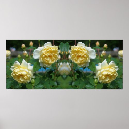 Yellow Rose Flowers Mirror Abstract Poster