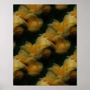 Yellow Rose Flowers Nature Art Pattern Poster