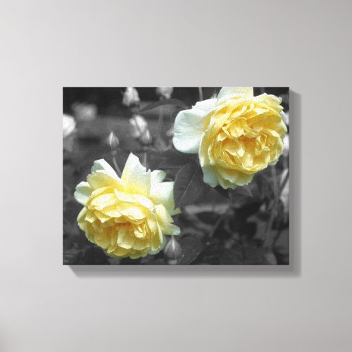 Yellow Rose Flowers Partial Color Canvas Print