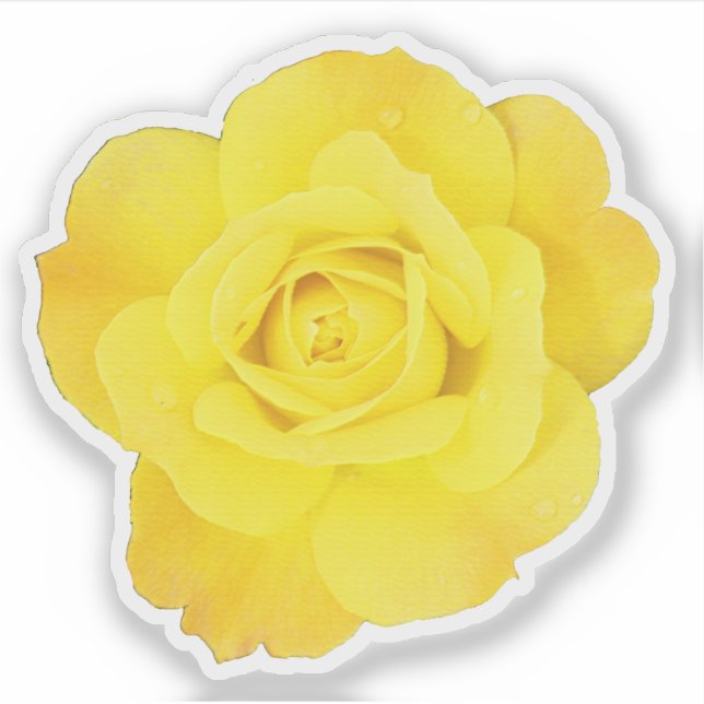 Yellow Rose Friendship Day Friends Weddings Floral Sticker (Front)