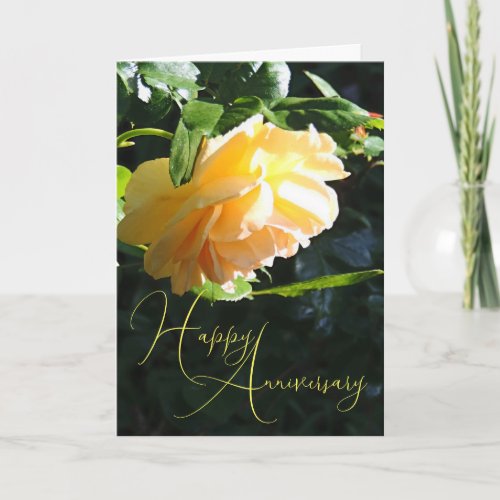 Yellow Rose Happy Anniversary Card