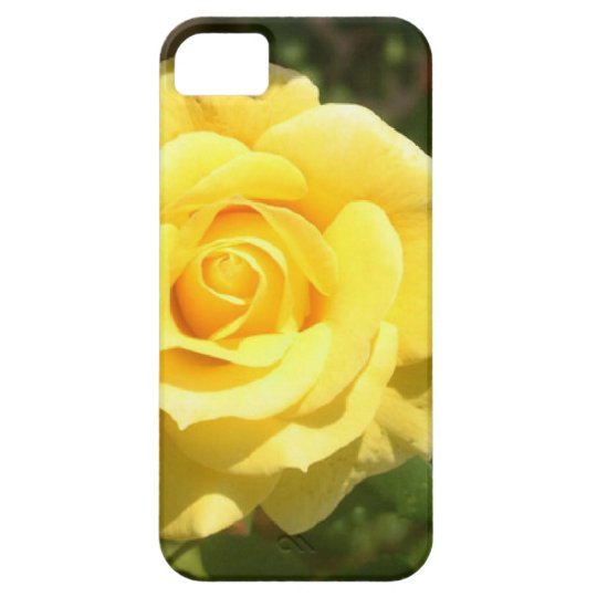Yellow Rose iPhone SE/5/5s Case Zazzle
