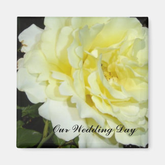 Yellow Rose Magnet
