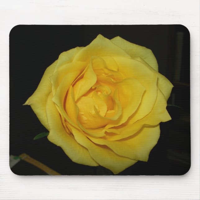 yellow rose mouse pad (Front)