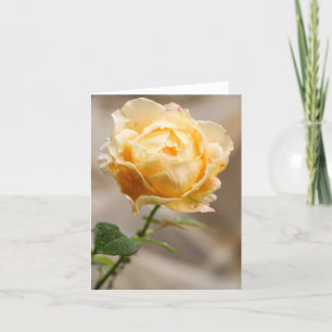 Yellow Rose Note Card