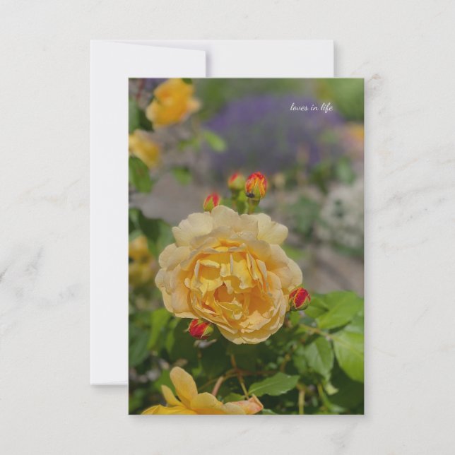 Yellow Rose Note Card (Front)