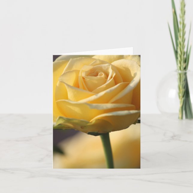 YELLOW ROSE NOTE CARDS (Front)