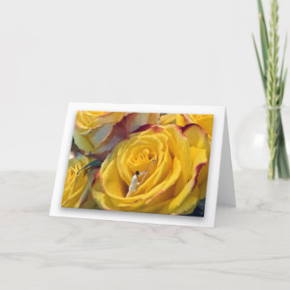 Yellow Rose of Nexus (white background) Card