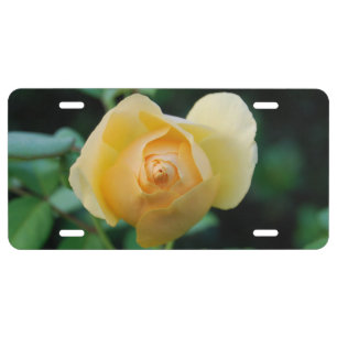 Yellow Rose of Texas License Plate
