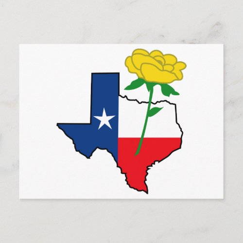 Yellow Rose of Texas Postcard