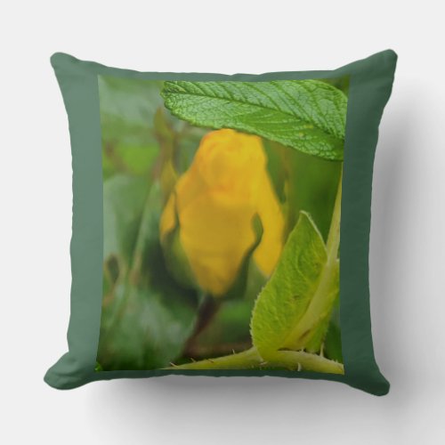 Yellow Rose of Texas Throw Pillow