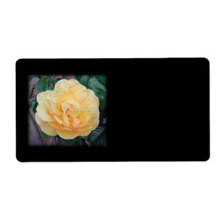 Yellow Rose, on black background. Label