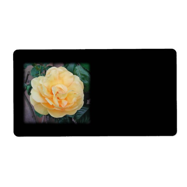Yellow Rose, on black background. Label (Front)