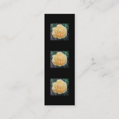 Yellow Rose, on black background. Business Card Templates