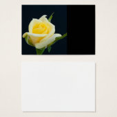 Yellow rose on the black background (Front & Back)