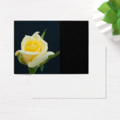 Yellow rose on the black background (Desk)