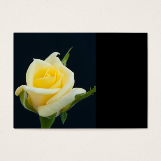 Yellow rose on the black background business card