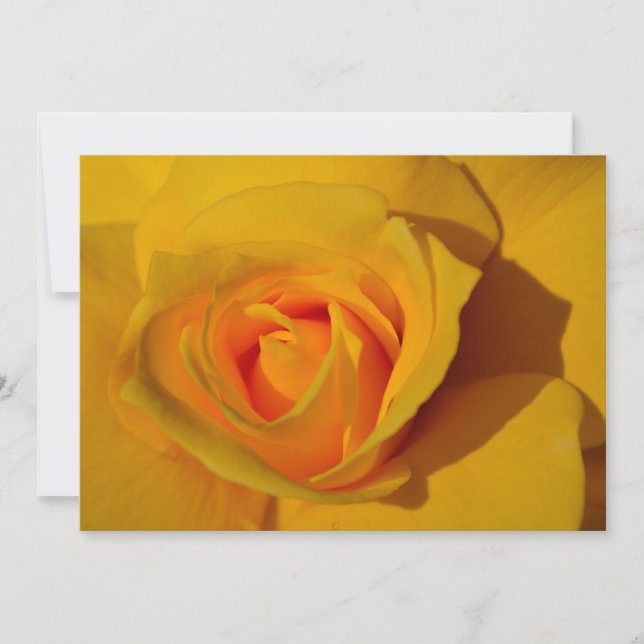 Yellow Rose orange rose romantic rose Invitation (Front)