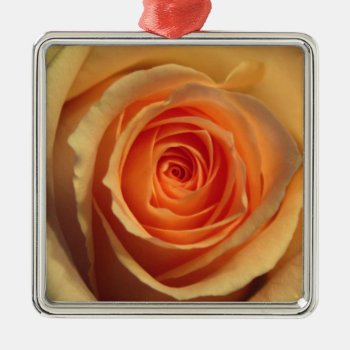 Yellow Rose Ornament by lynnsphotos at Zazzle