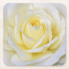 Yellow Rose