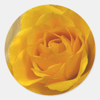 Yellow Rose Stickers | Zazzle