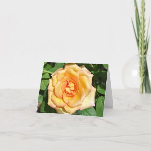 Yellow Rose Photo Folded Note Card