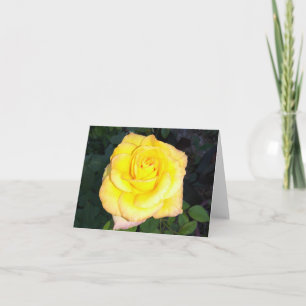 Yellow Rose Photo Folded Note Card