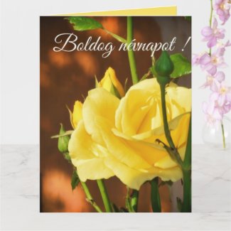 Yellow rose photo  - Hungarian name day