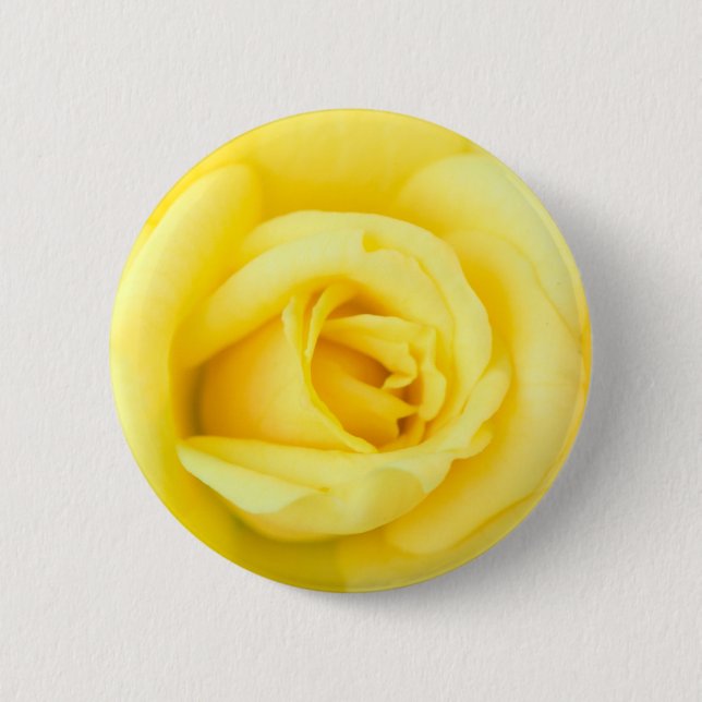 Yellow rose pinback button (Front)