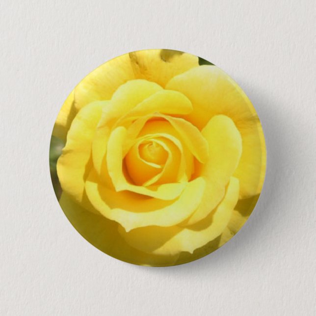 Yellow Rose Pinback Button (Front)