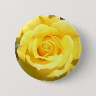 Yellow Rose Pinback Button
