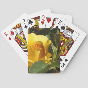 Yellow rose playing cards