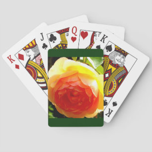 Yellow Rose Poker Cards