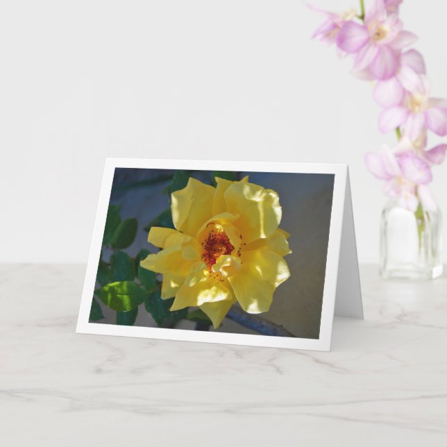 Yellow Rose Portrait Card (Orchid)