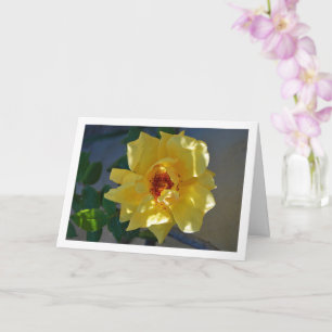 Yellow Rose Portrait Card