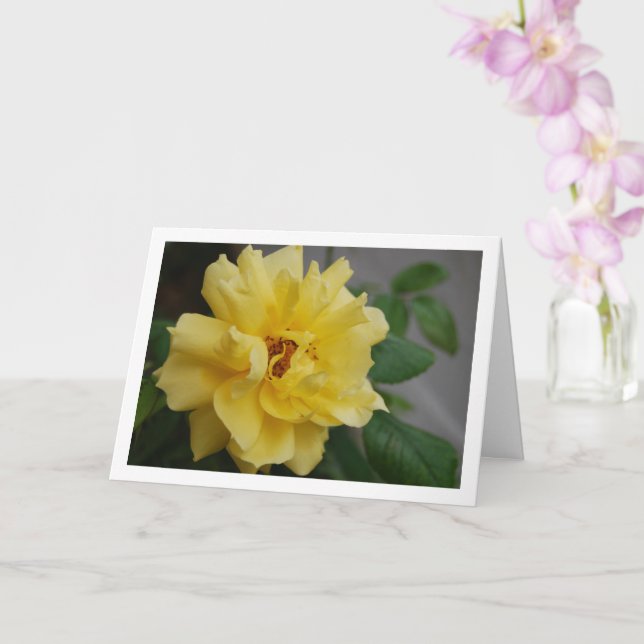 Yellow Rose Portrait Card (Orchid)