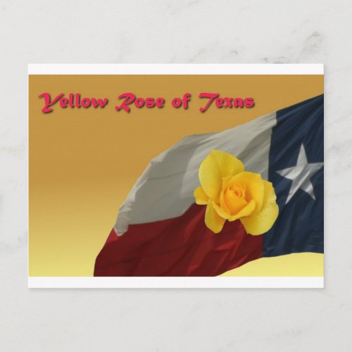 yellow rose postcard