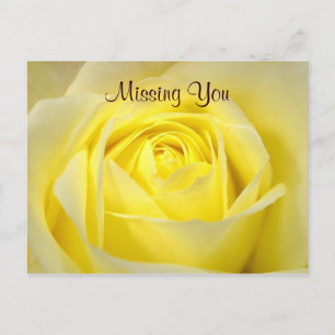 Yellow Rose Postcard