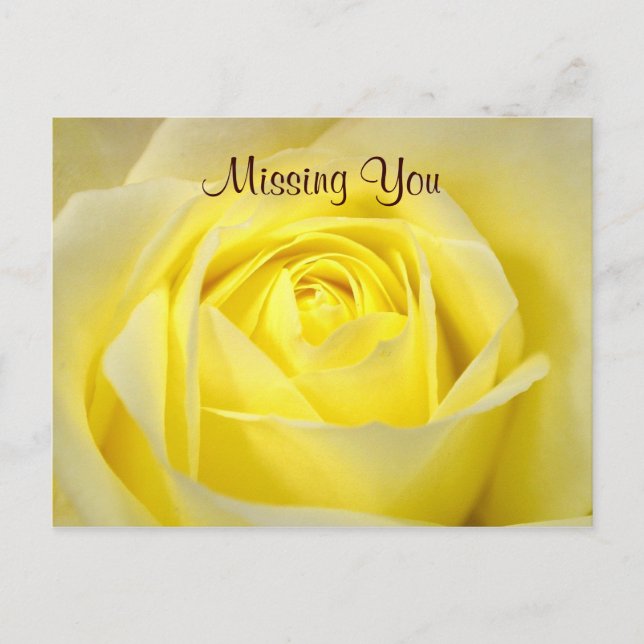 Yellow Rose Postcard (Front)
