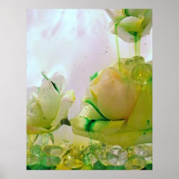 Yellow Rose Poster by DragonL8dy at Zazzle