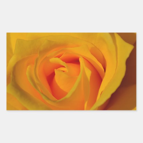 Yellow Rose Rectangular Sticker