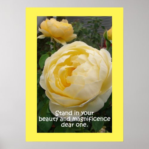 Yellow Rose Roses Nature Garden Poster