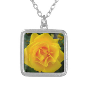 Yellow Rose Silver Plated Necklace