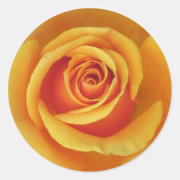 Yellow Rose Sticker by ggbythebay at Zazzle