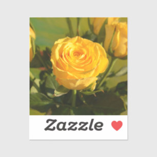 Yellow Rose Sticker