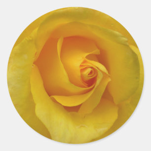 Yellow Rose Stickers Cheerful Rose Gifts Keepsake